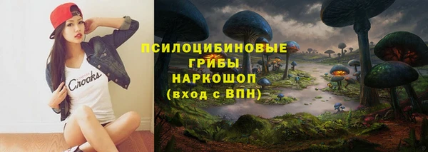 сатива Горно-Алтайск