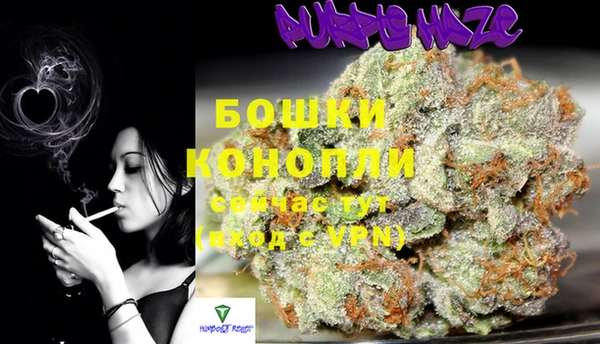 сатива Горно-Алтайск