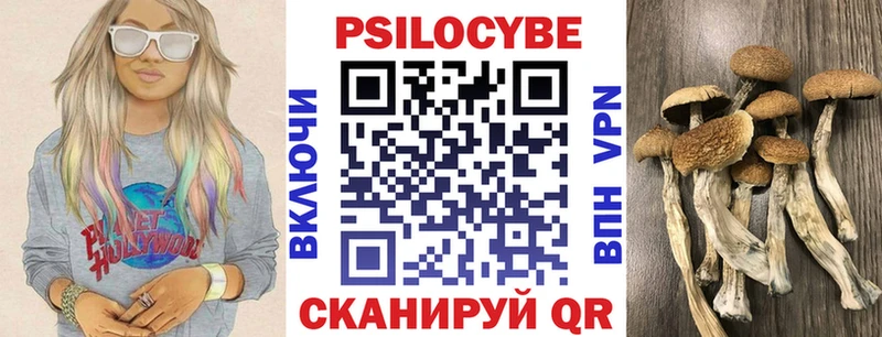 Купить  Кемь  Галлюциногенные грибы MAGIC MUSHROOMS 