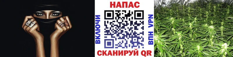 МАРИХУАНА OG Kush  Купить закладки  Кемь 